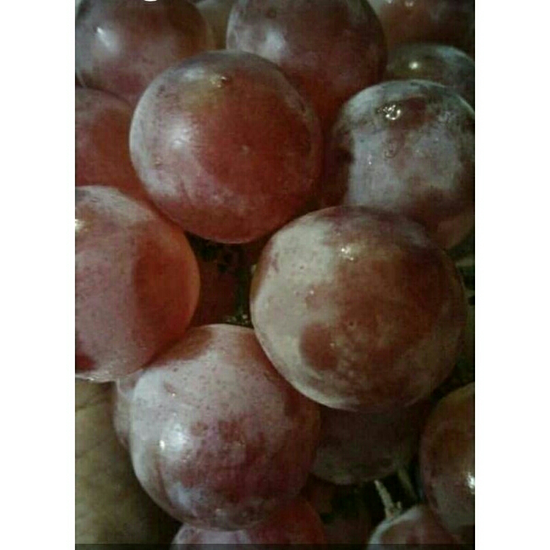 

Buah Anggur 500gr