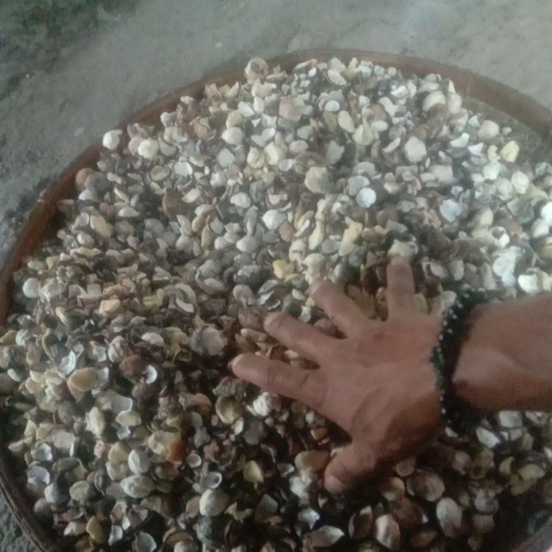 

kemiri
