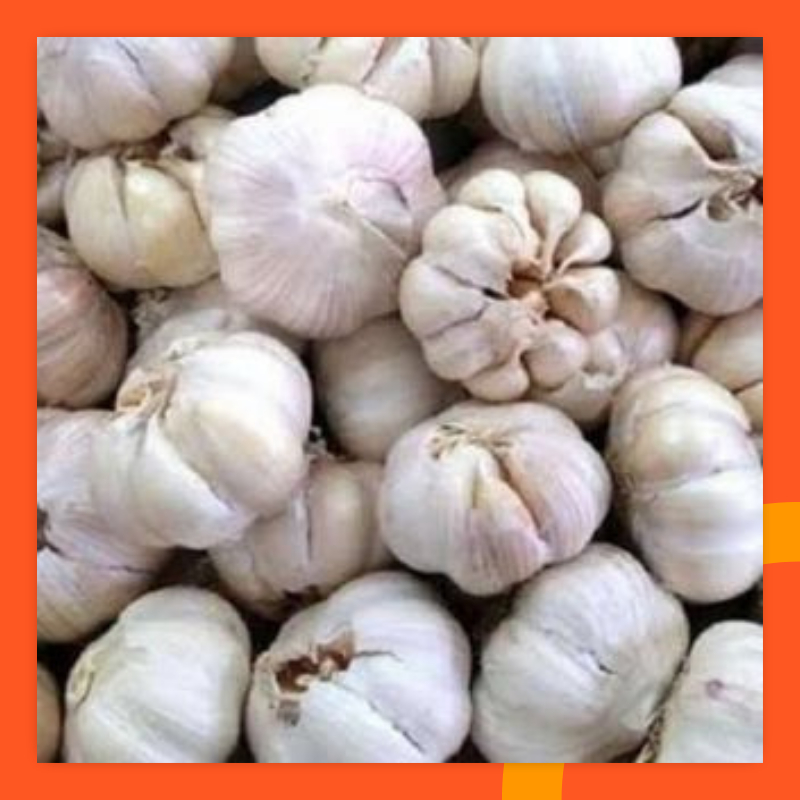 

Bawang Putih Bawang Fresh Segar Kirim Instan