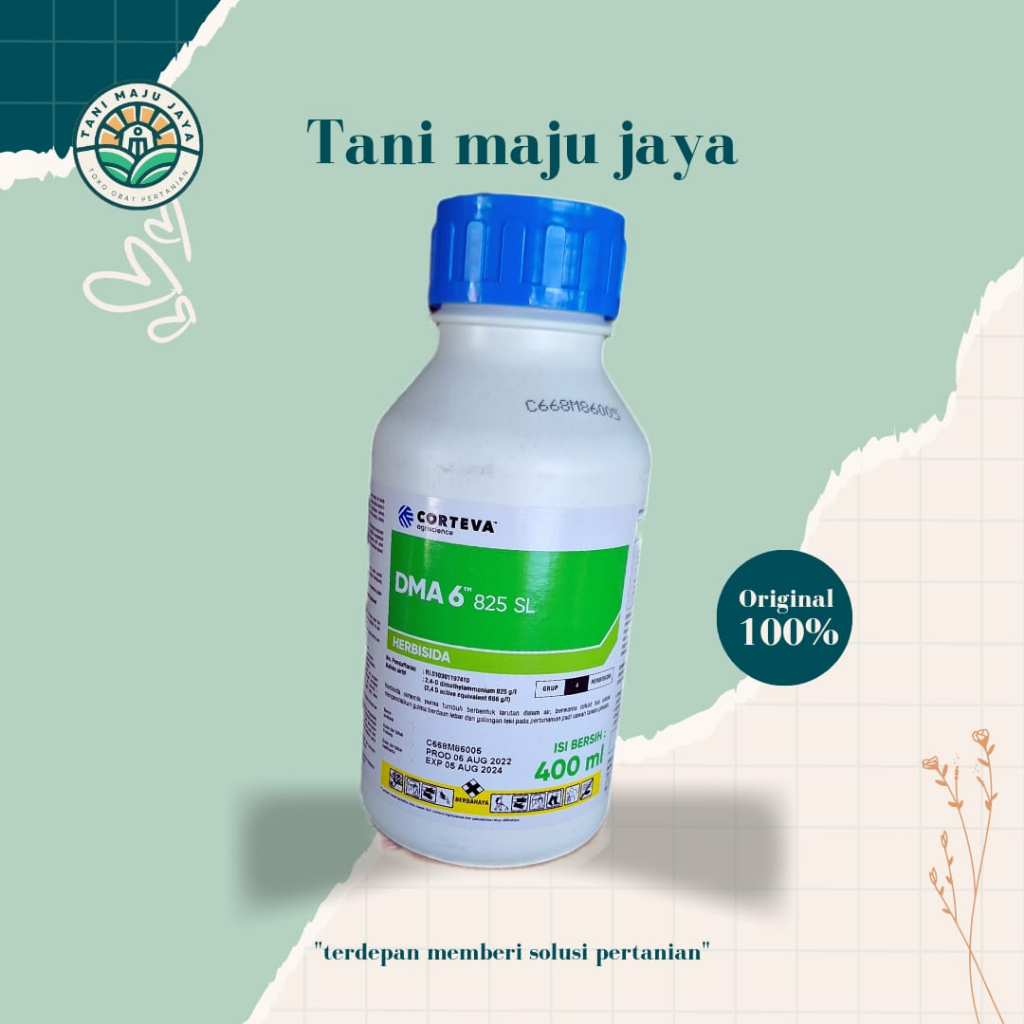Herbisida DMA 6 825 SL Pembasmi Rumput