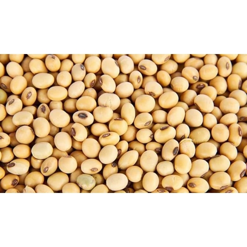 

KEDELE/KEDELAI IMPOR 1 KG