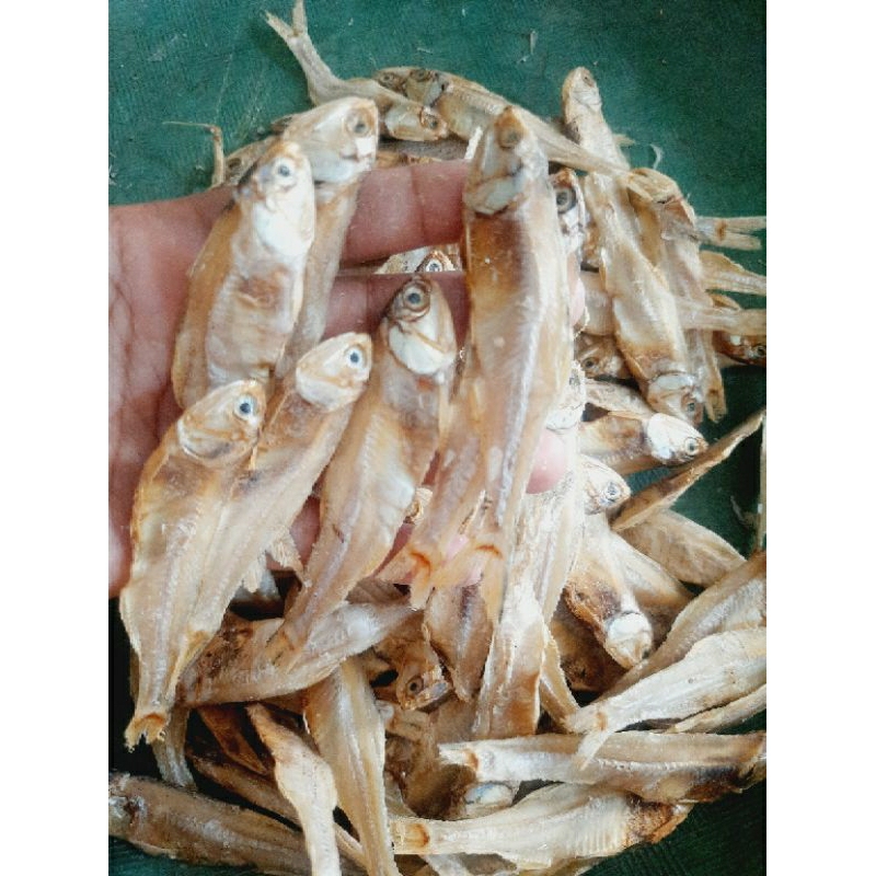 

IKAN BUNGA TAWAR 250 GRAM