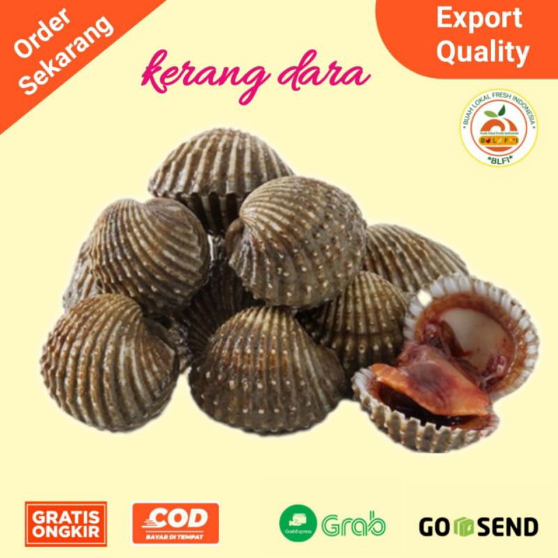 

KERANG DARA FRESH