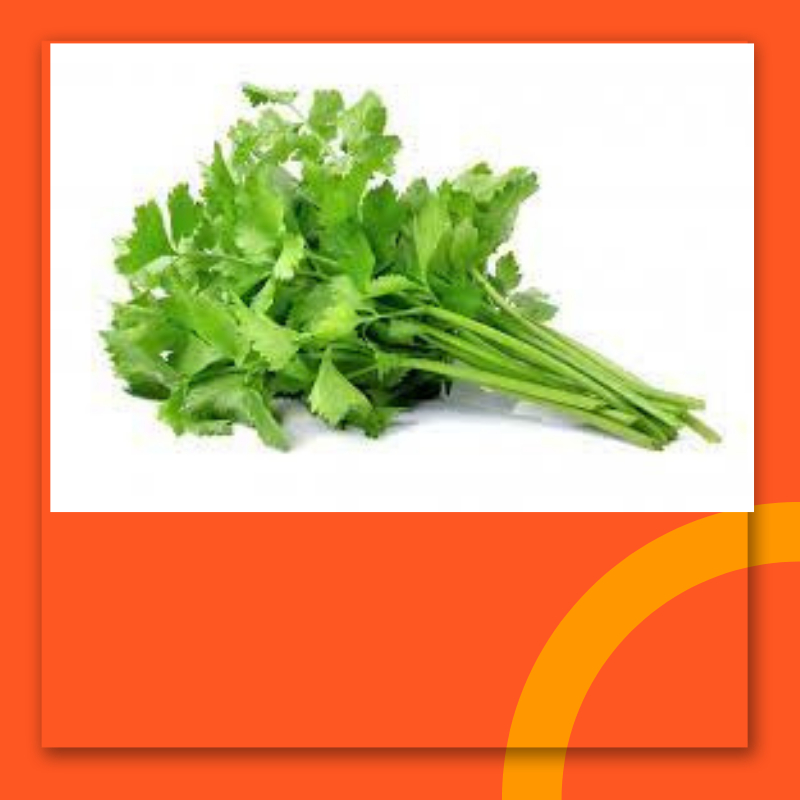 

Seledri Segar 100g Daun Batang seledri Utuh Fesh