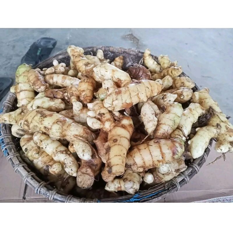 

kunyit | temu putih koneng bodas 1kg