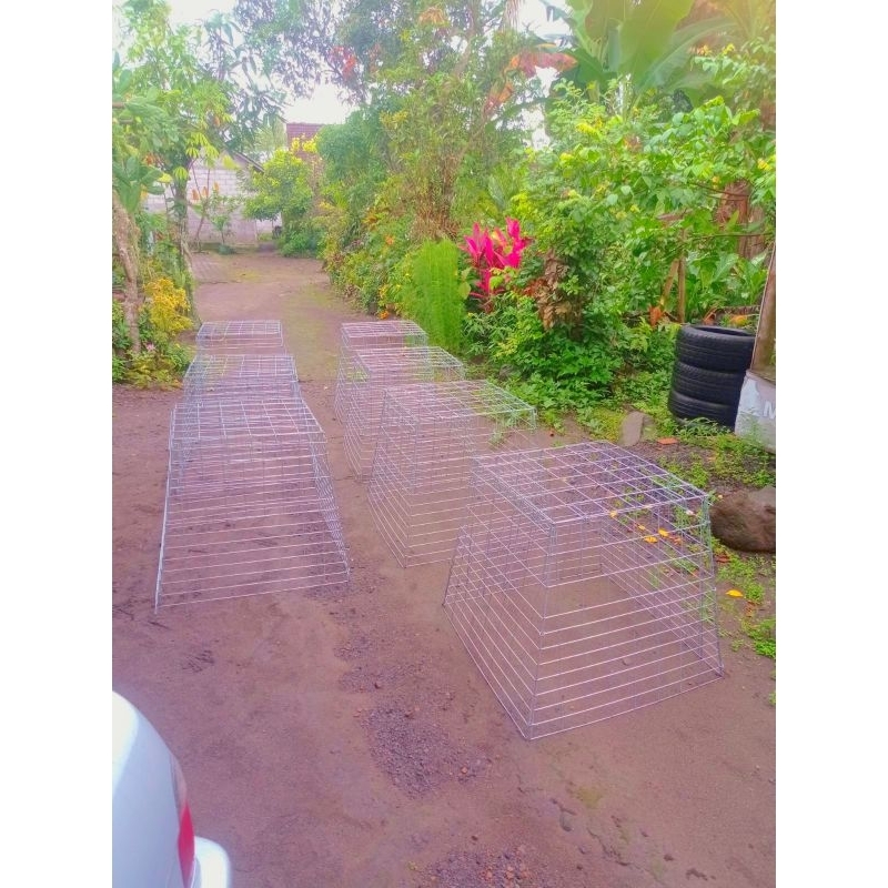 Kurungan Galvanis Ayam