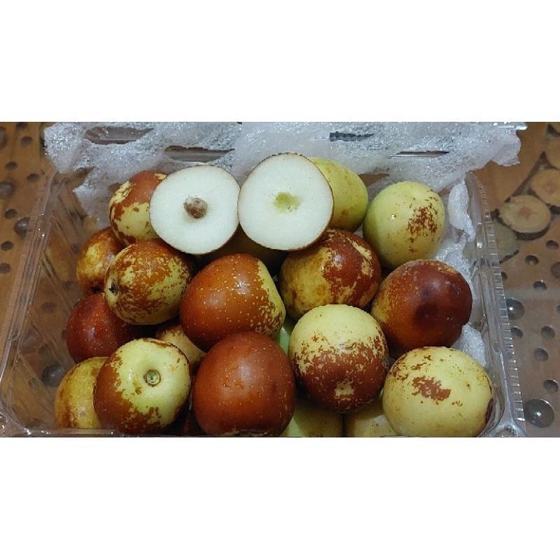 Winter Jujube / Kurma cina / buah bidara