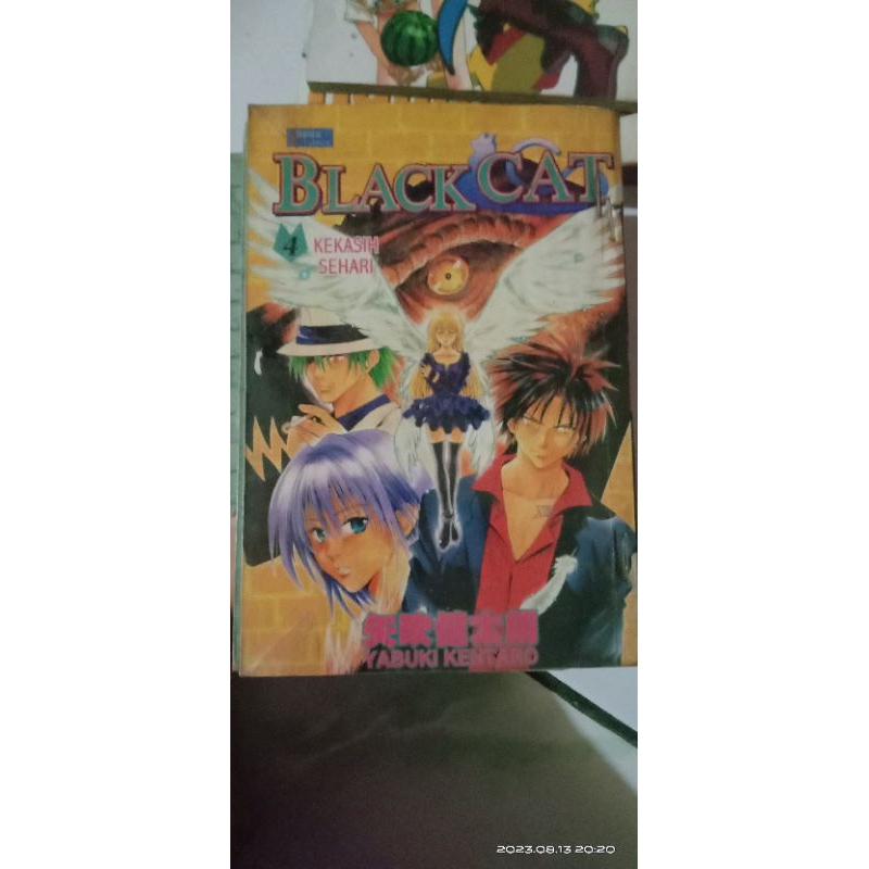 Komik Black Cat