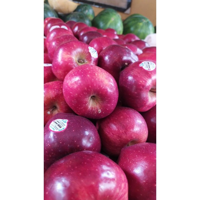 

apel Red del USA/KG