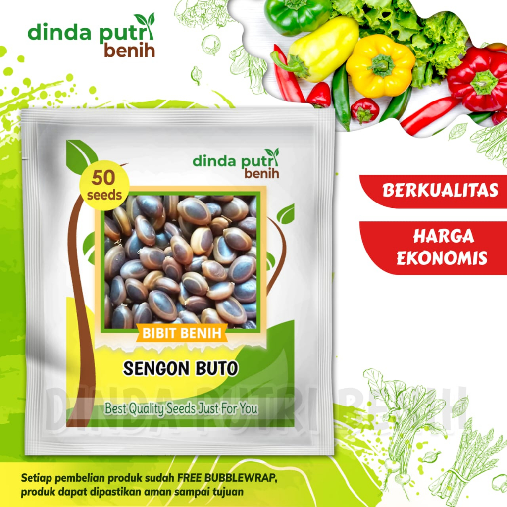 50biji Benih Sengon Buto (Enterolobium Cyclocarpum) /benih sengon buto super