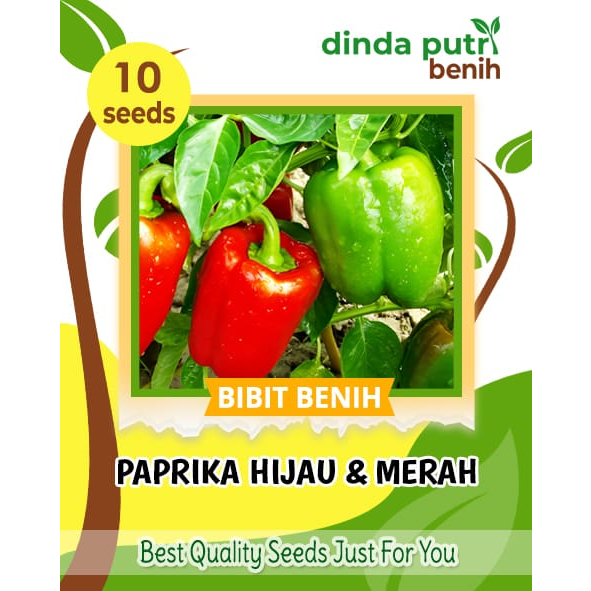 isi benih 10biji Benih Paprika Hijau dan Merah /bibit benih sayuran paprika super