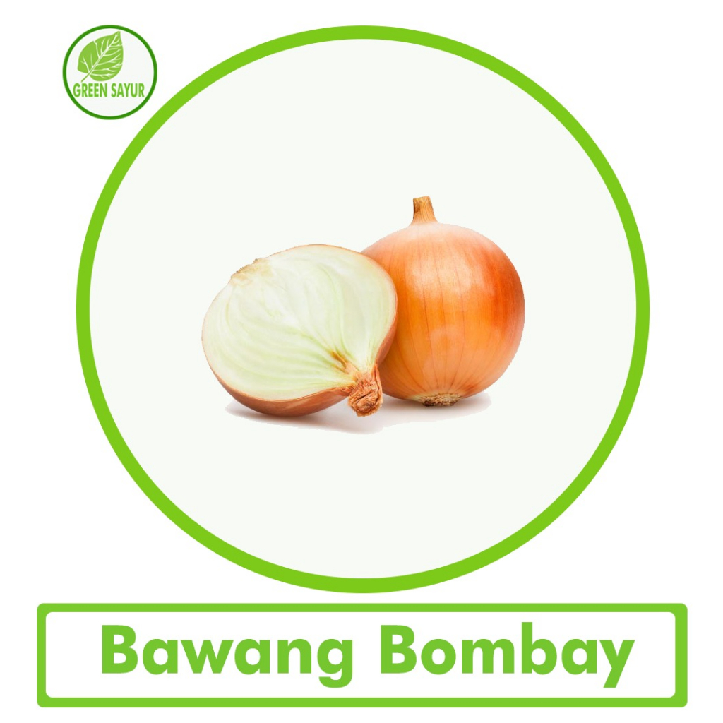 

Bawang Bombay Per Satuan
