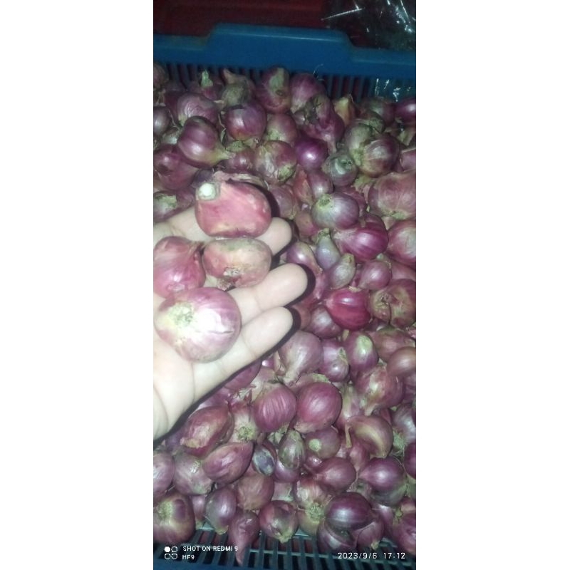 

bawang merah/brambang 500gr plus bublewrap