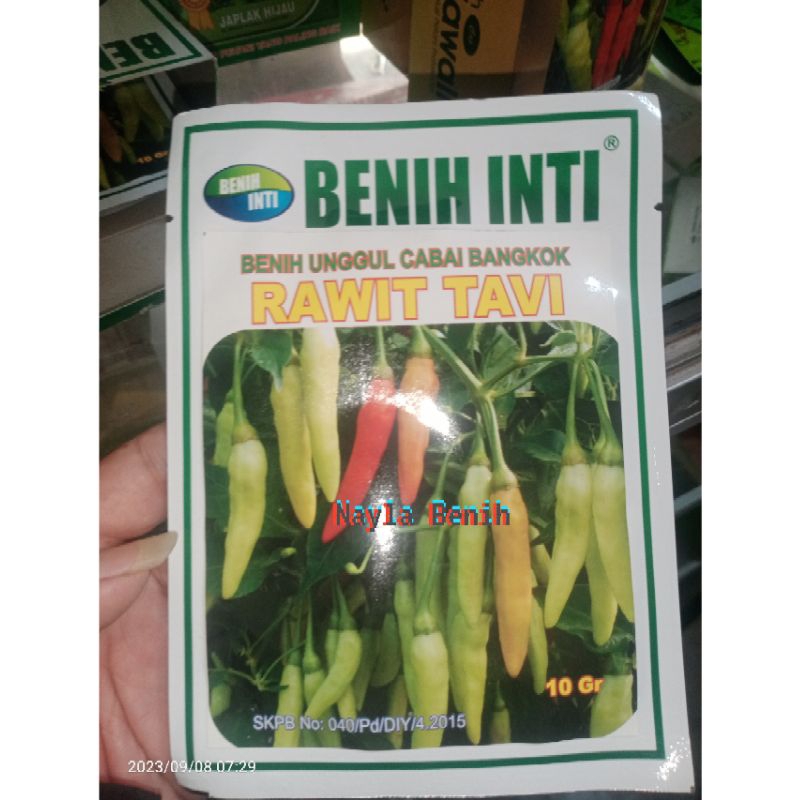 Benih Unggul Cabai RAWIT TAVI dari Benih Inti
