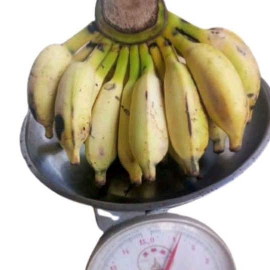 

Pisang Siam Segar 1 Kg