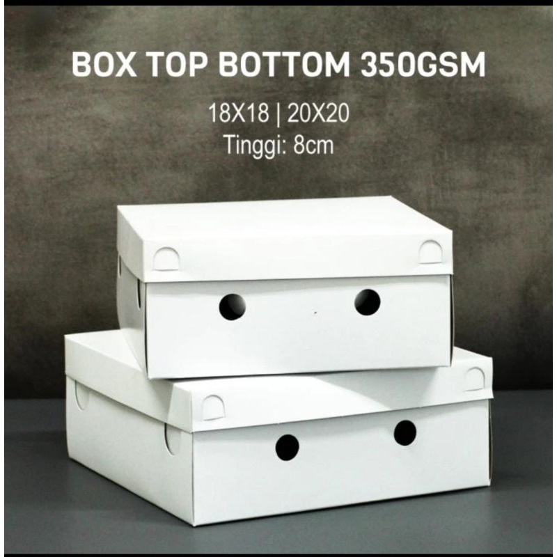 Kotak Nasi Duplex Box Nasi 250 pcs