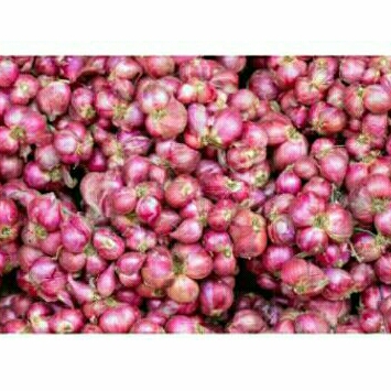 

Bawang Merah 1kg