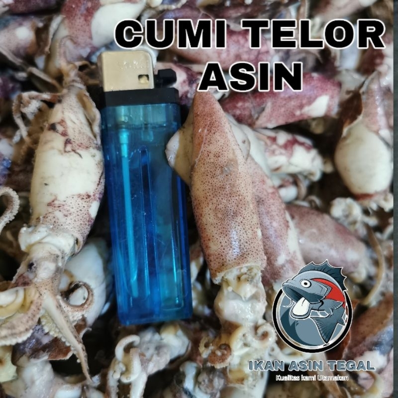 

CUMI TELOR ASIN SUPER NILMAT 1KG SIZE 3-7CM