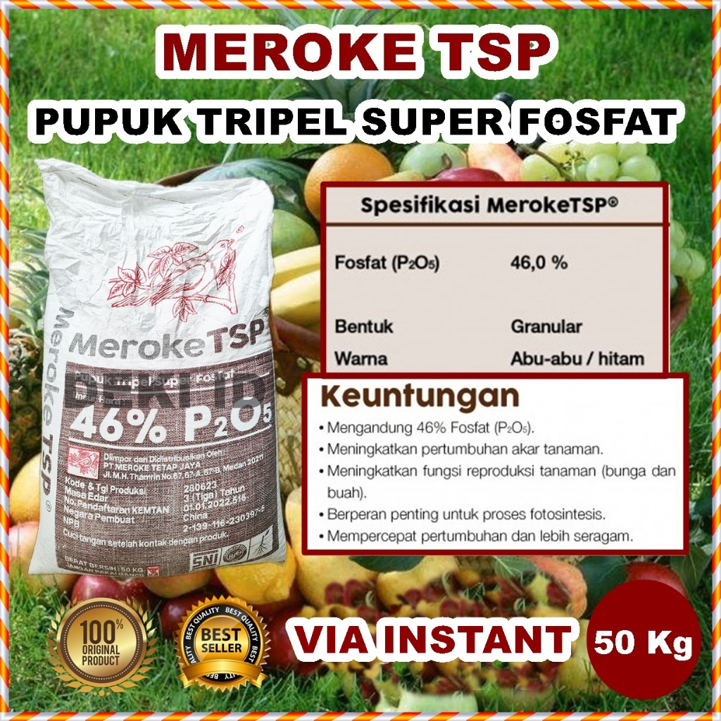 Pupuk TSP 46 Persen Kemasan 50 Kg Pupuk Fosfat Penguat Akar Pembenah Tanah Penyubur Tanaman