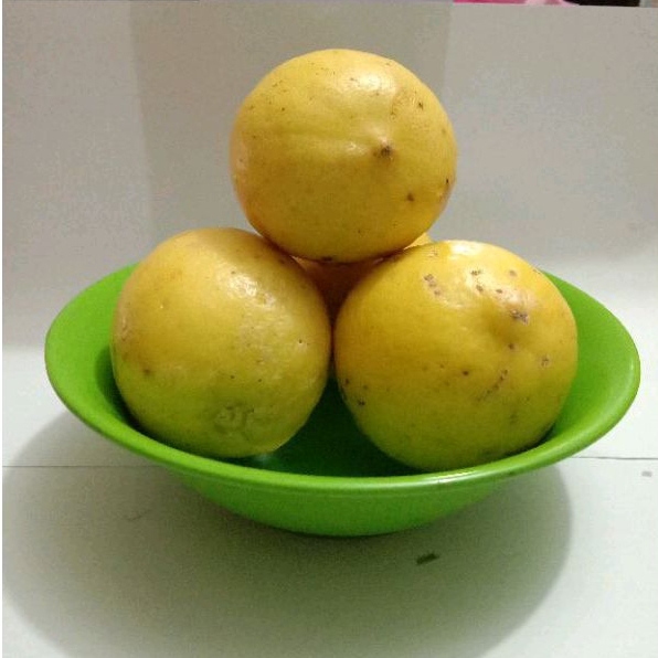 

Lemon Lokal segar 1kg