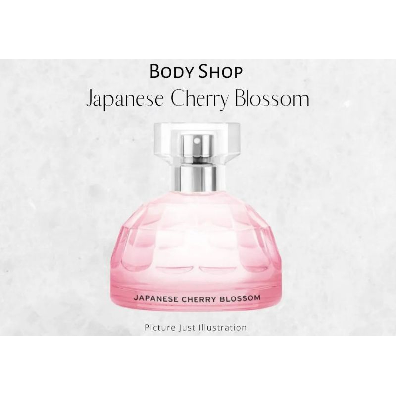 collector parfum