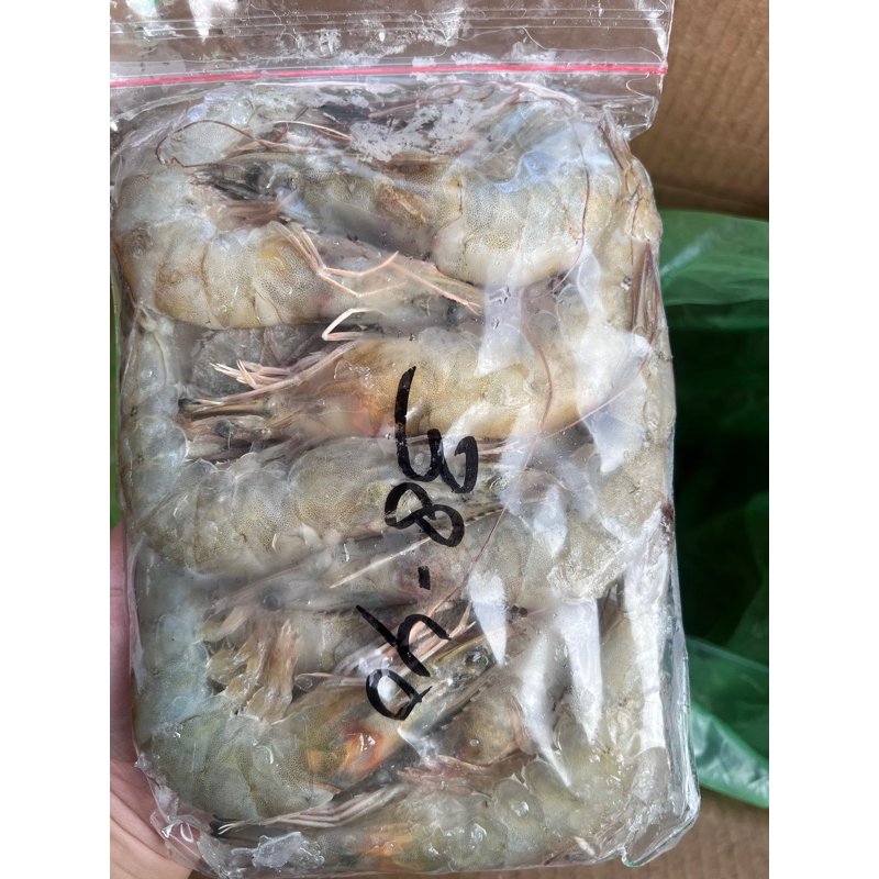 

udang vanamei jumbo