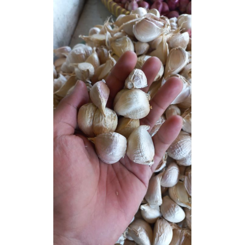 

bawang putih