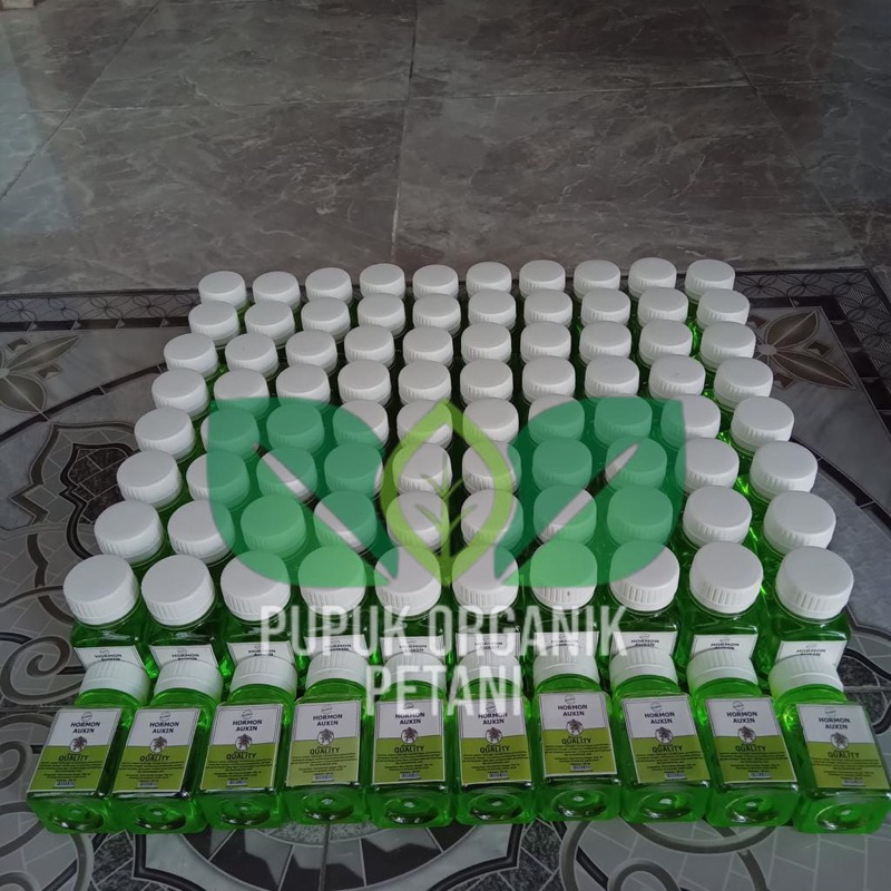 Mokilo43 Hormon Zpt Tanaman Hormon Auxsin Giberelin Sitokinin Hormon Tanaman Hormon Untuk Akar