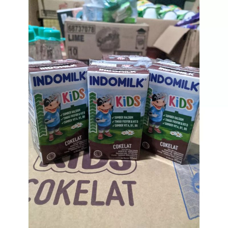 Susu Kotak Indomilk