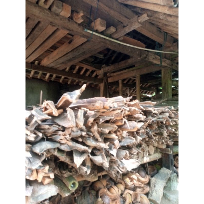 

Kayu Bakar