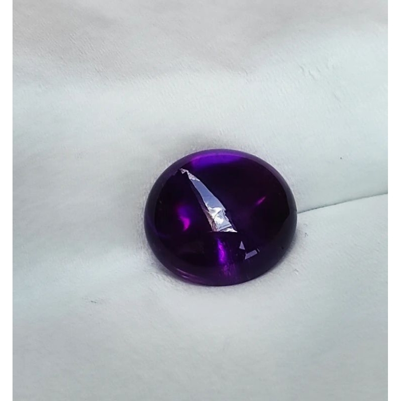 KECUBUNG UNGU BENTOL, KECUBUNG WULUNG, KECUBUNG AMETHYST