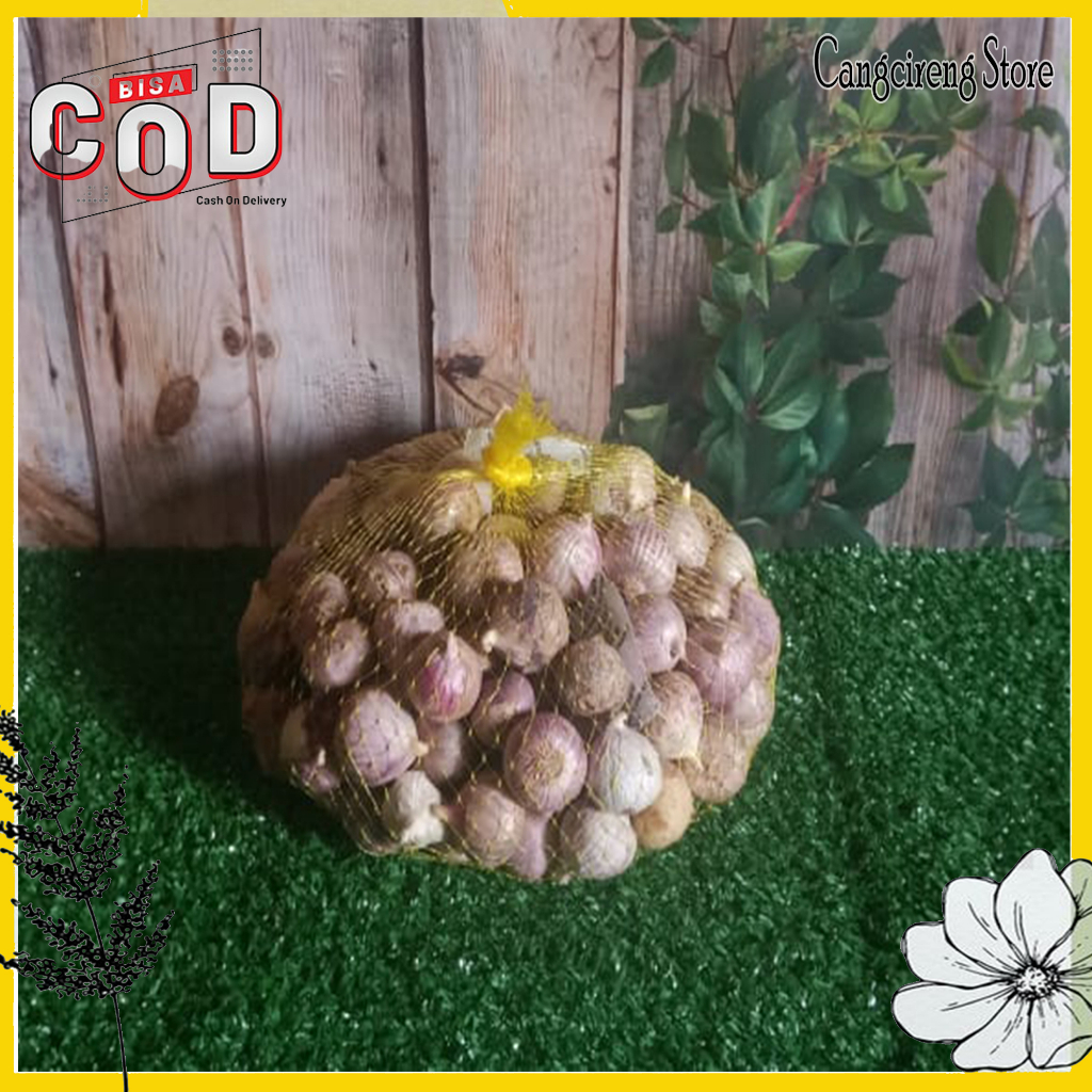 

Bawang Putih Tunggal Lanang Import Besar Kecil 1 kg