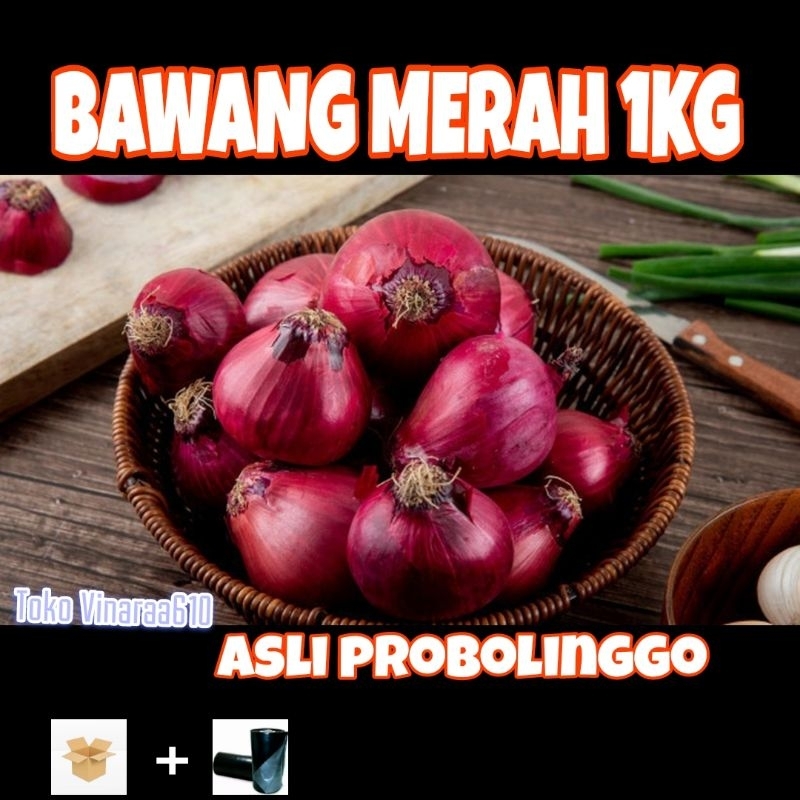 

BAWANG MERAH PROBOLINGGO