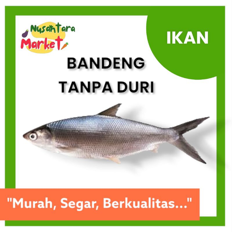 

BANDENG TANPA DURI | 1 EKOR | 400GR | NUSANTARA MARKET