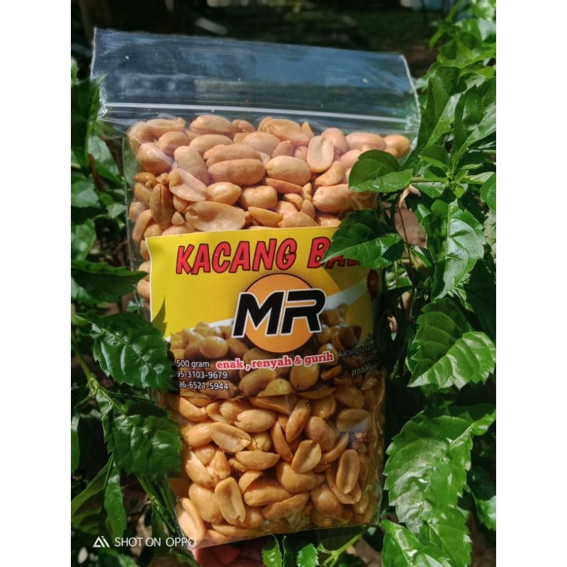 

KacangBaliGoreng