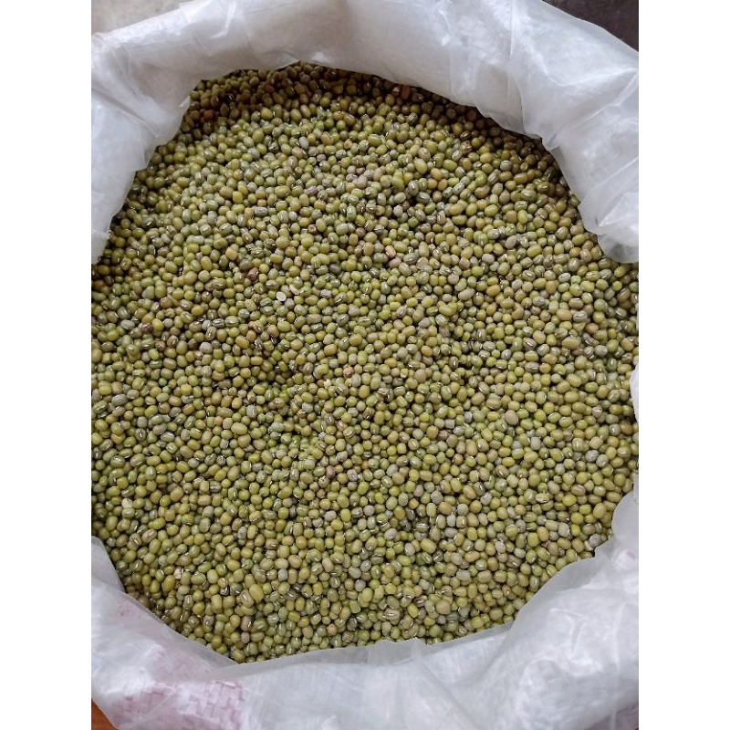 

kacang hijau large green mung beans kualitas import 500gr