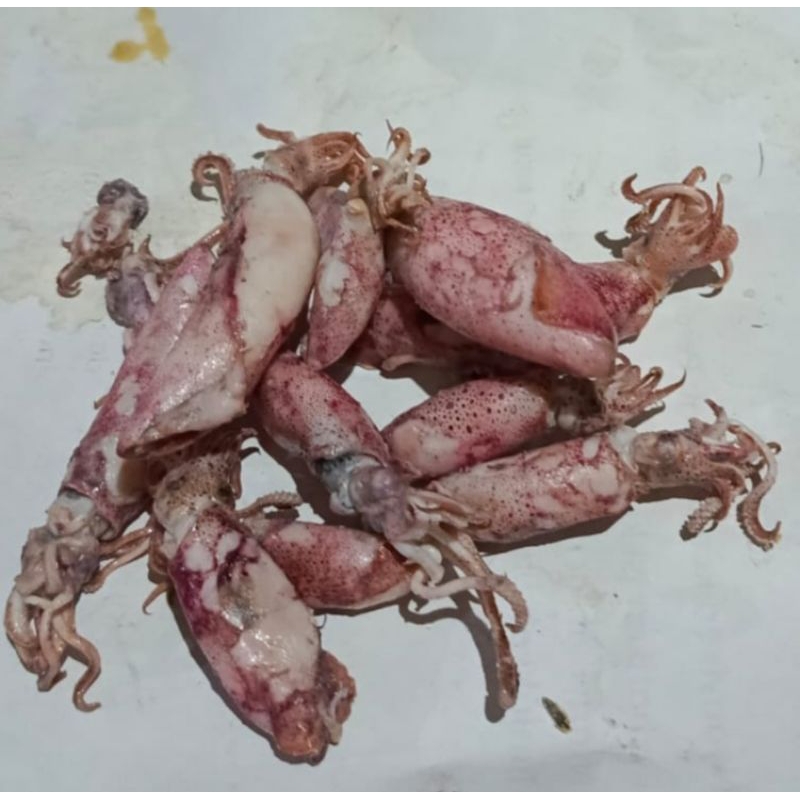 

IKAN ASIN CUMI