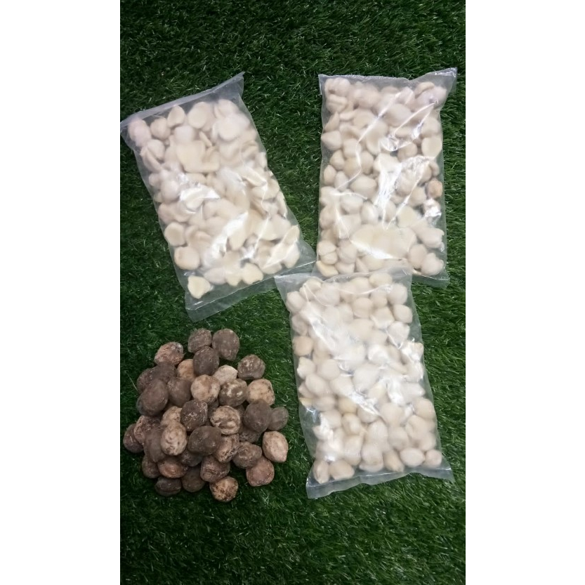 

kemiri utuh cangkang