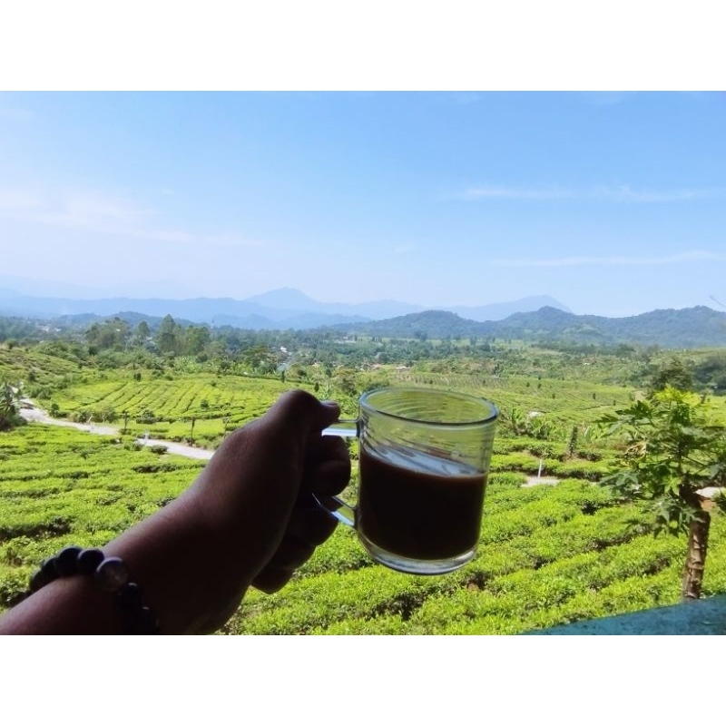 

kopi kapal api