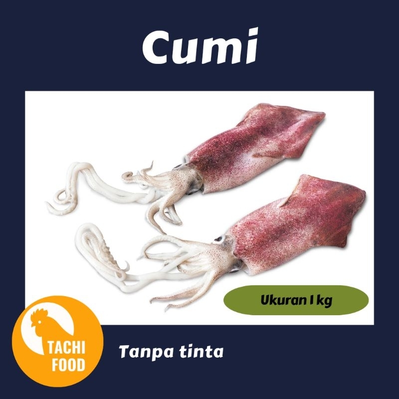 

Cumi Segar Tanpa Tinta 1 kg