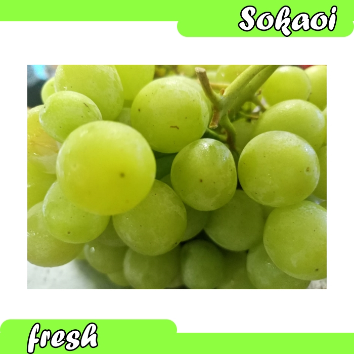 

ANGGUR HIJAU TANPA BIJI 500 GR