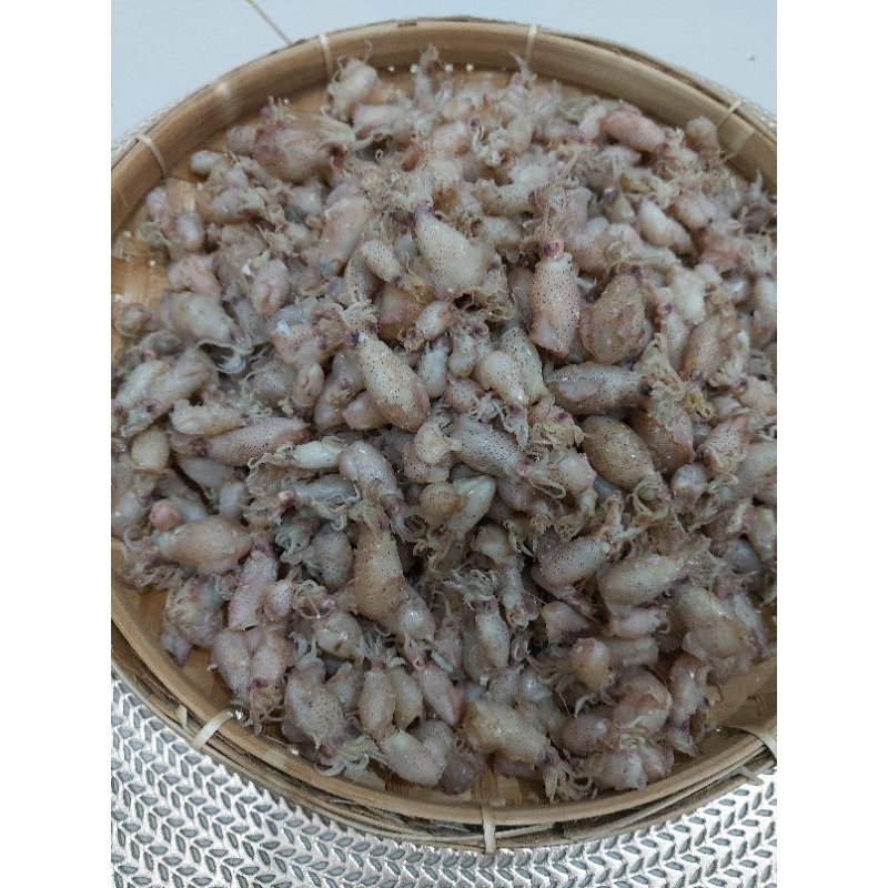 

baby cumi 100gr