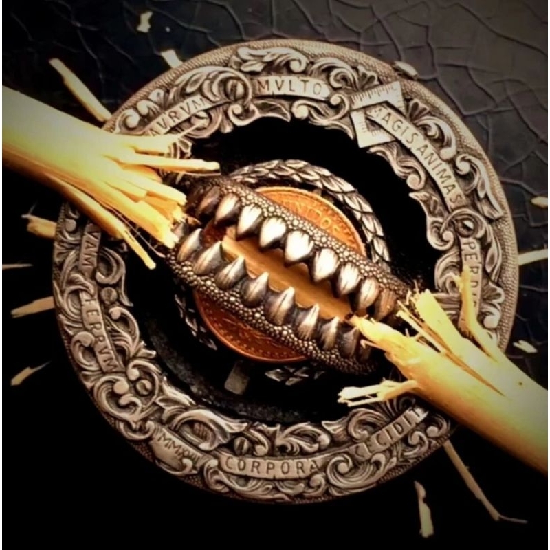 Trap Coin With The Golden Bait Koin Jebakan Morgan Dollar