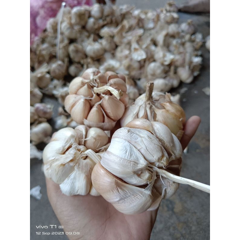 

Bawang Putih SUPER 500gr