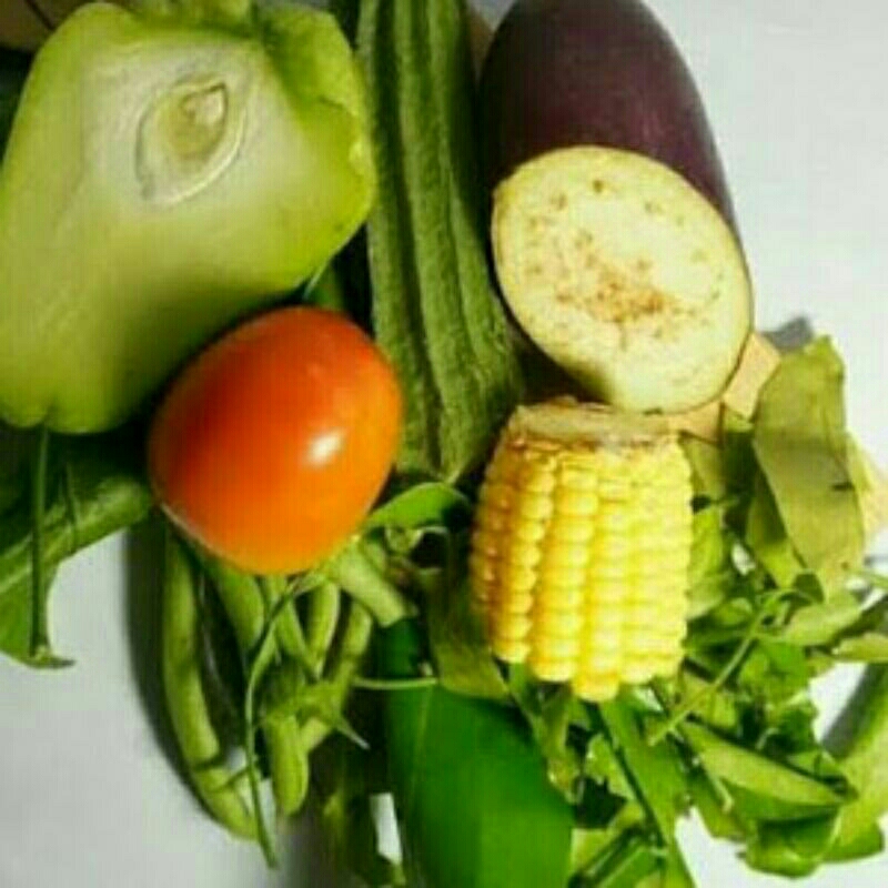 

Sayur Lodeh Mentah 1 Bungkus