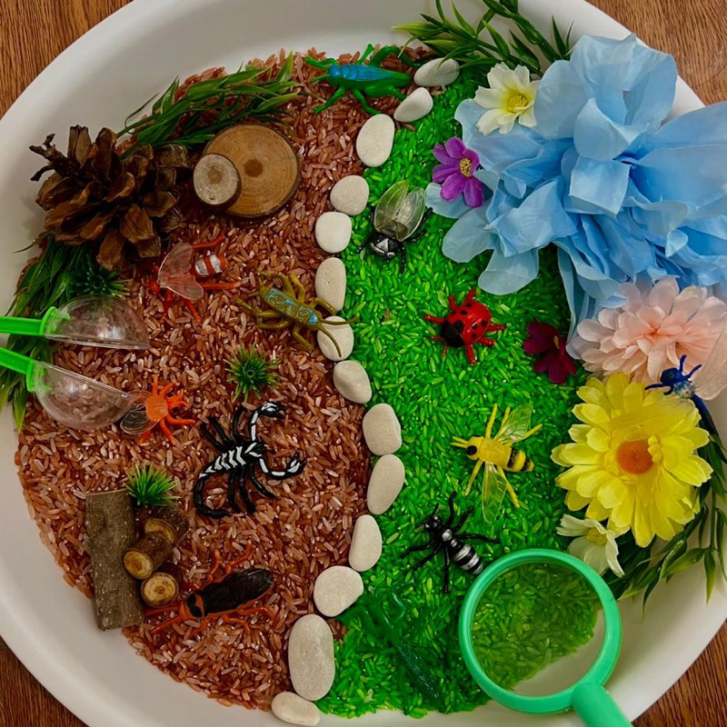 Insect Small World Sensory Play | Insect Set Food Grade | Mainan Edukasi Serangga | Insect | Bugs | 