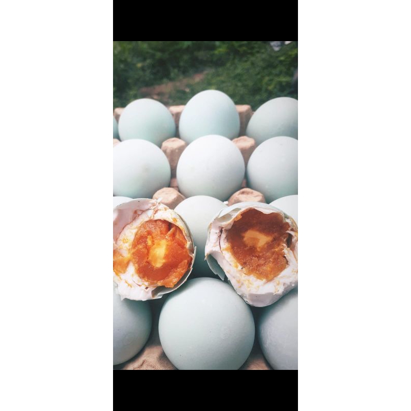

telur asin 10 butir