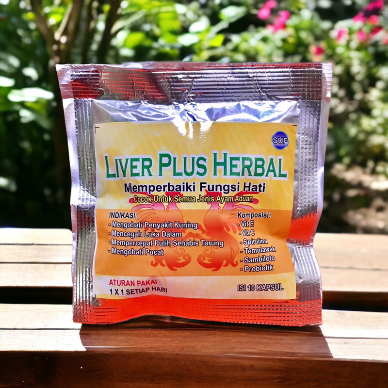 Obat sakit kuning untuk ayam