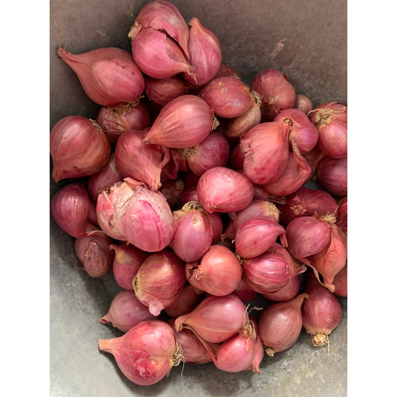 

Bawang merah