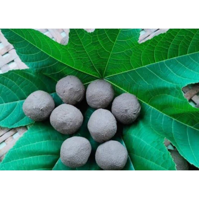 

tanah liat / angpo isi 5